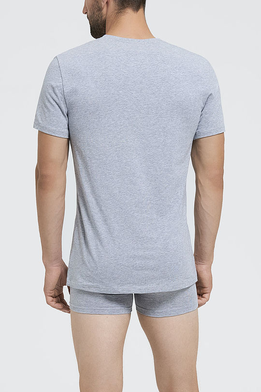 Organic cotton boxer 2 | GREY/MELANGE | Audimas