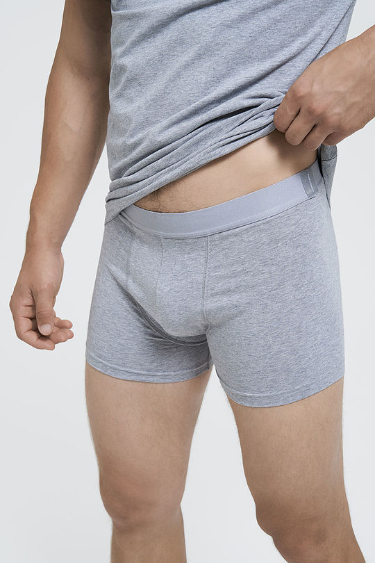 Organic cotton boxer 3 | GREY/MELANGE | Audimas