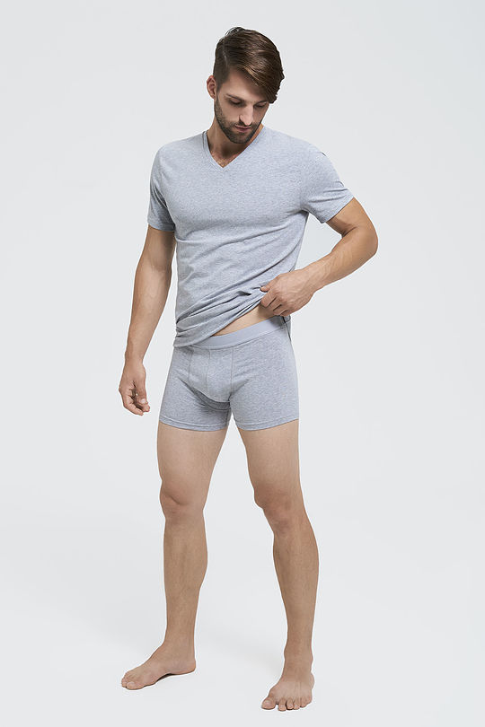 Organic cotton boxer 4 | GREY/MELANGE | Audimas