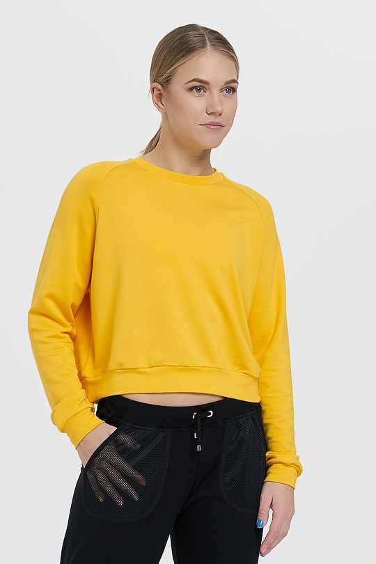 Stretch crop sweatshirt 1 | YELLOW/ORANGE | Audimas