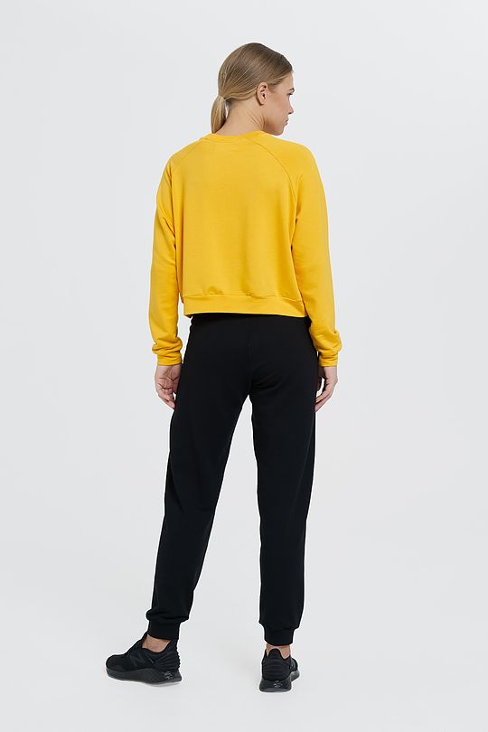 Stretch crop sweatshirt 6 | YELLOW/ORANGE | Audimas