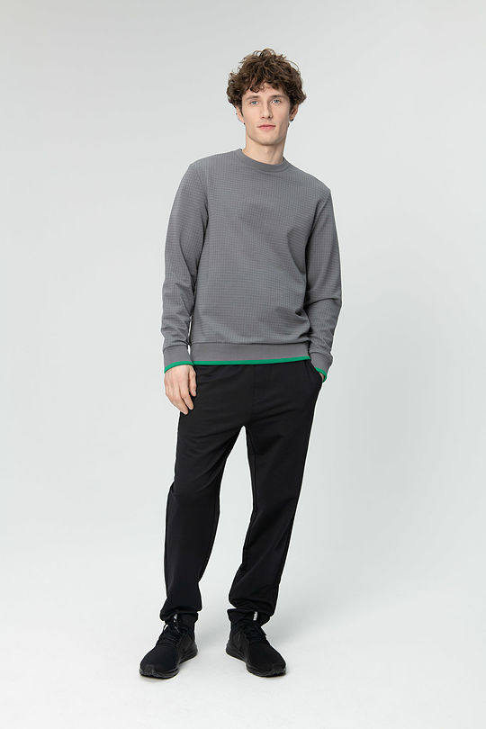 Stretch cotton sweatshirt 4 | GREY/MELANGE | Audimas