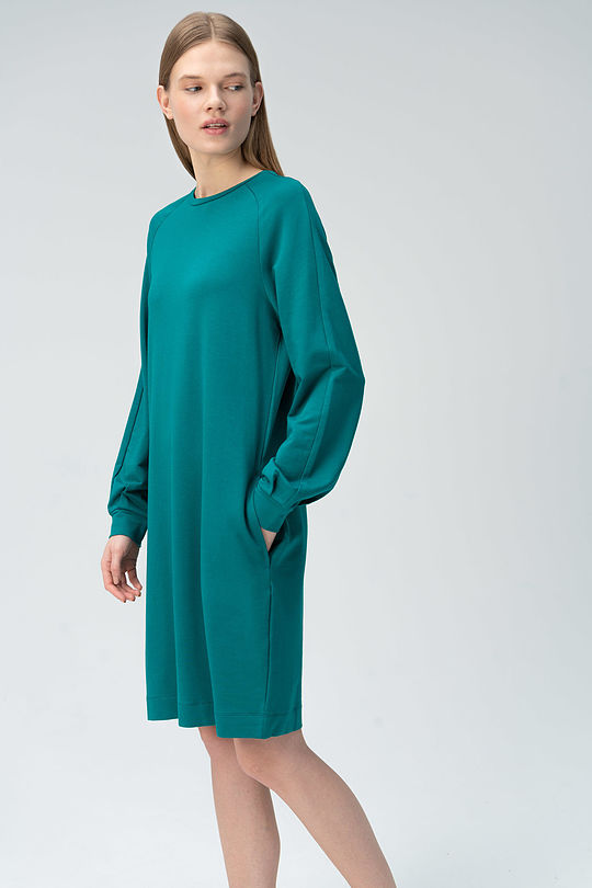 Soft surface modal long sleeve dress 1 | GREEN/ KHAKI / LIME GREEN | Audimas