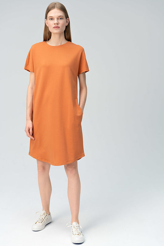Soft surface modal dress 4 | BROWN/BORDEAUX | Audimas