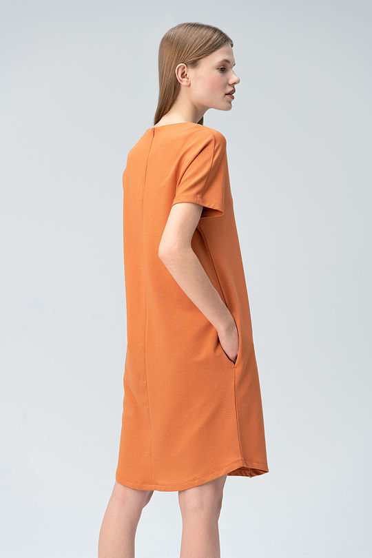 Soft surface modal dress 2 | BROWN/BORDEAUX | Audimas
