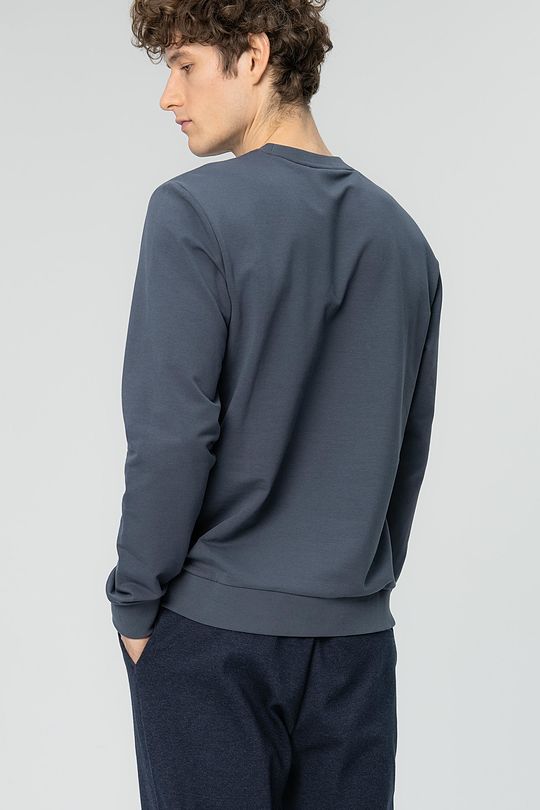 Stretch cotton sweatshirt 3 | GREY/MELANGE | Audimas