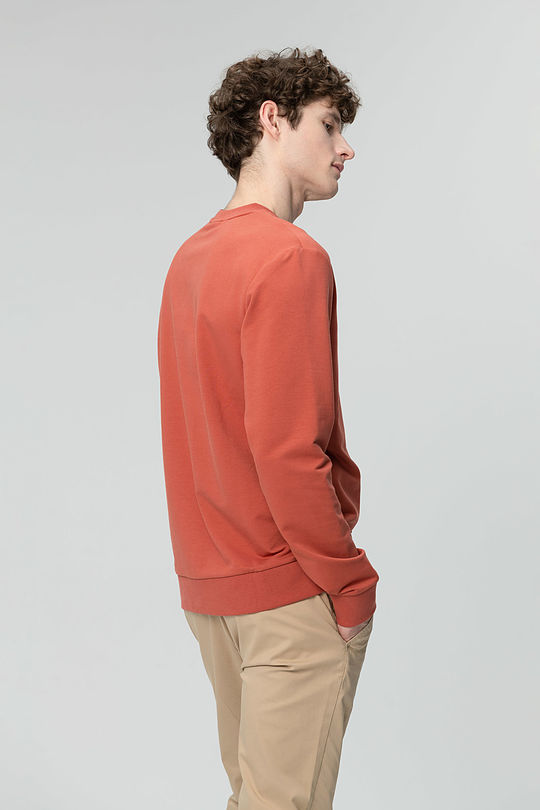 Stretch cotton sweatshirt 2 | RED/PINK | Audimas
