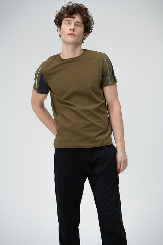 Stretch cotton tee with print 1 | GREEN/ KHAKI / LIME GREEN | Audimas