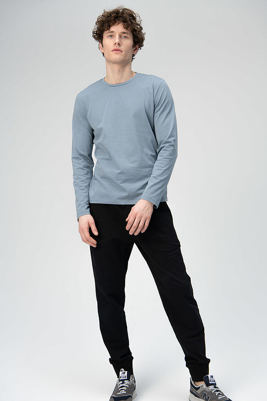 Stretch cotton long sleeve t-shirt with print 5 | BLUE | Audimas