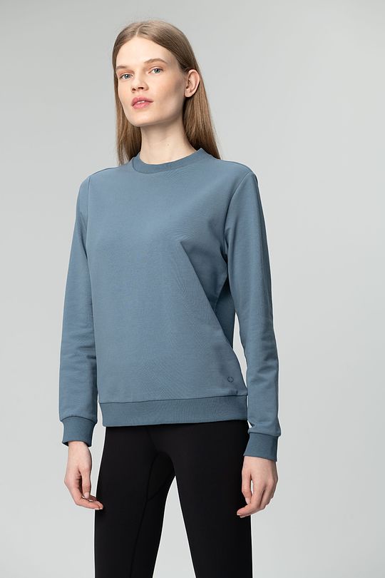 stretch cotton sweatshirt 3 | BLUE | Audimas