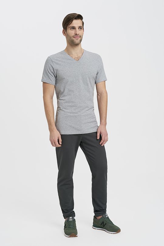 Organic cotton v-neck T-shirt 4 | GREY/MELANGE | Audimas