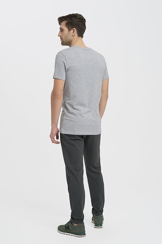 Organic cotton v-neck T-shirt 5 | GREY/MELANGE | Audimas