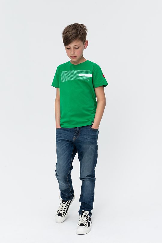 Cotton tee with print 3 | GREEN/ KHAKI / LIME GREEN | Audimas