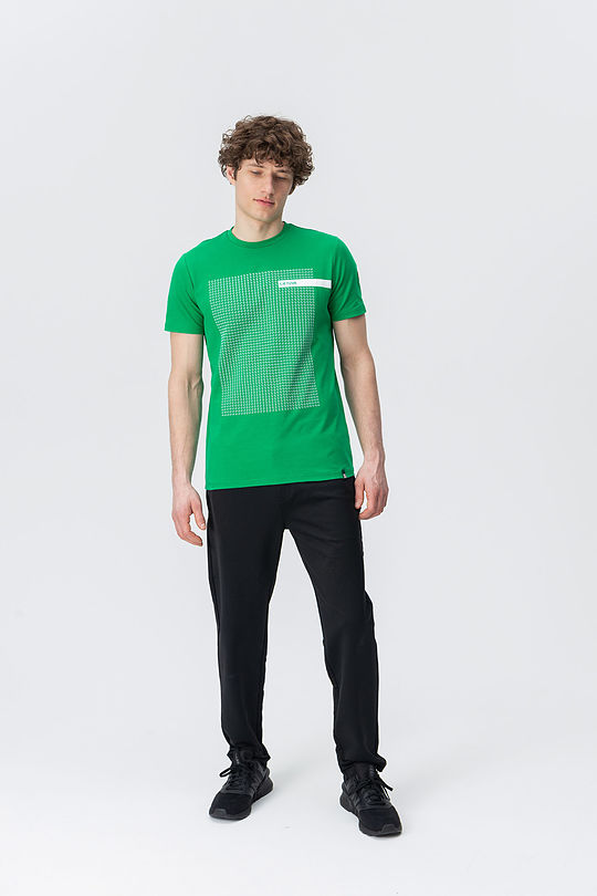 cotton tee with print 5 | GREEN/ KHAKI / LIME GREEN | Audimas