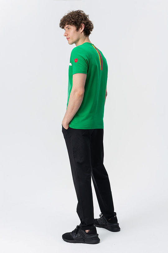 cotton tee with print 6 | GREEN/ KHAKI / LIME GREEN | Audimas