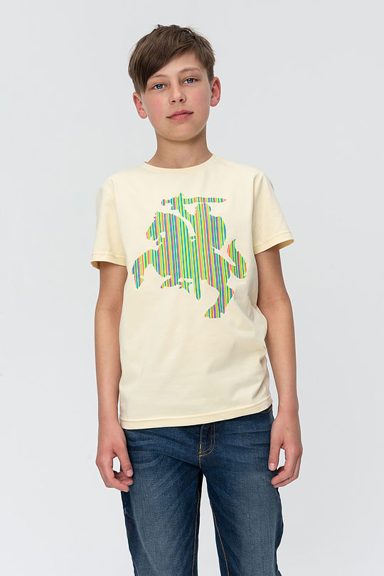 Short sleeve tee 1 | YELLOW/ORANGE | Audimas