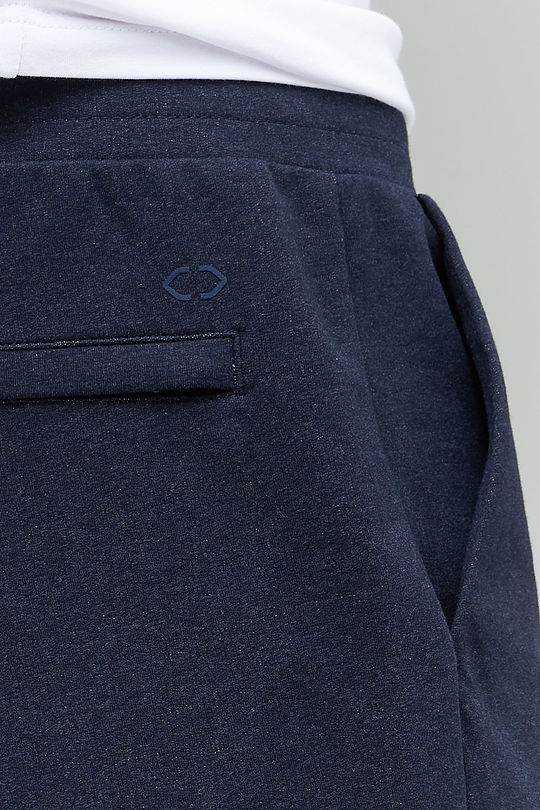 Stretch cotton regular fit sweatpants 6 | BLUE | Audimas