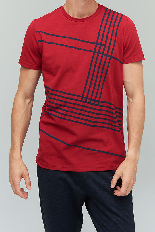 Stretch cotton t-shirt with print 3 | RED/PINK | Audimas