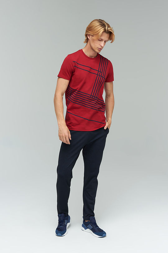 Stretch cotton t-shirt with print 6 | RED/PINK | Audimas