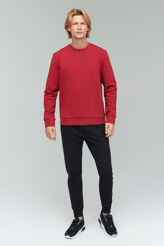Stretch cotton sweatshirt 6 | RED/PINK | Audimas