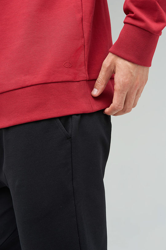 Stretch cotton sweatshirt 5 | RED/PINK | Audimas