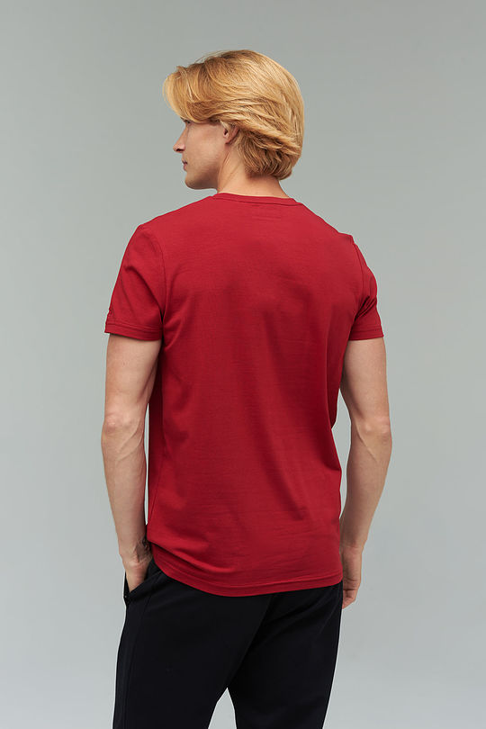 Stretch cotton t-shirt 2 | RED/PINK | Audimas