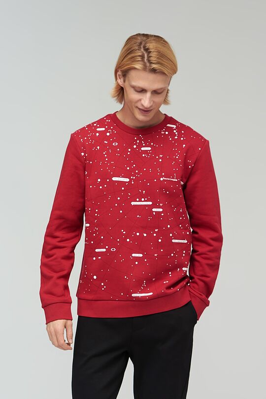 Brushed cotton sweatshirt 1 | RED/PINK | Audimas