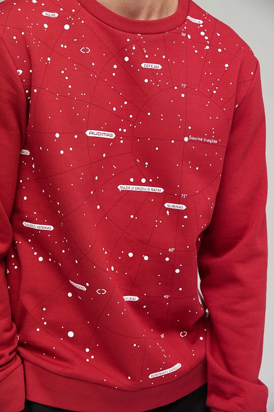 Brushed cotton sweatshirt 3 | RED/PINK | Audimas