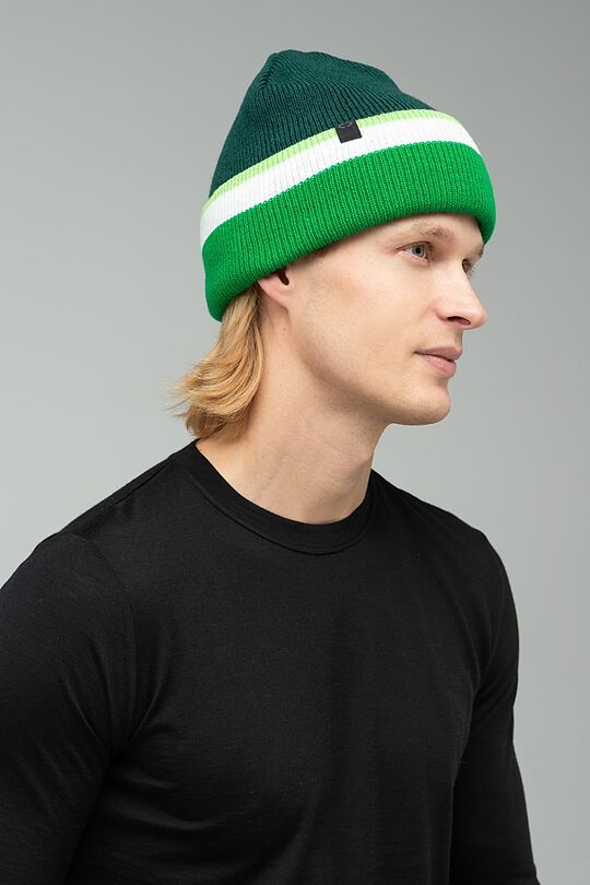 Knitted hat with wool 1 | GREEN/ KHAKI / LIME GREEN | Audimas