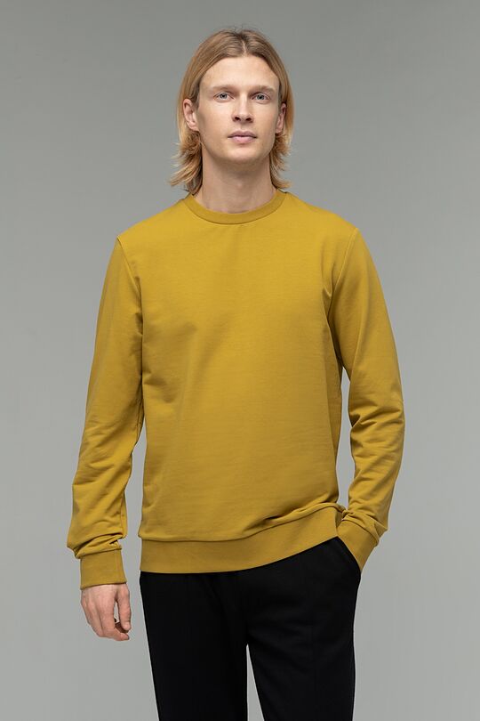 Stretch cotton sweatshirt 1 | BROWN/BORDEAUX | Audimas
