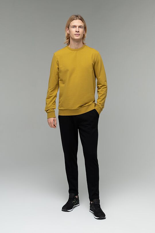 Stretch cotton sweatshirt 4 | BROWN/BORDEAUX | Audimas