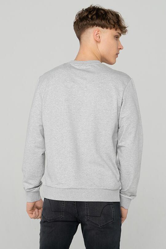 Stretch cotton sweatshirt 2 | GREY/MELANGE | Audimas