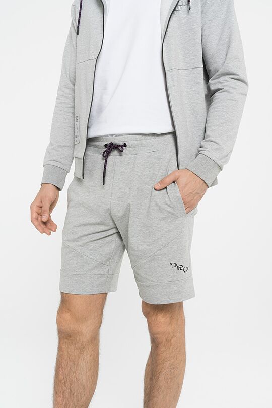 Stretch cotton shorts 3 | GREY/MELANGE | Audimas