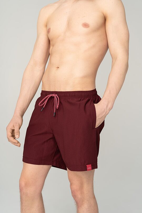 Short length beach shorts 3 | PURPLE | Audimas