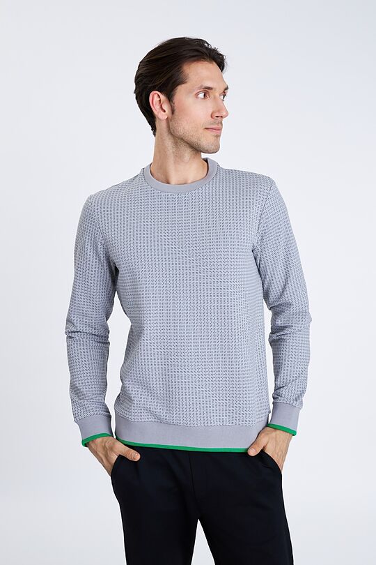 Stretch cotton sweatshirt with print 1 | GREY/MELANGE | Audimas