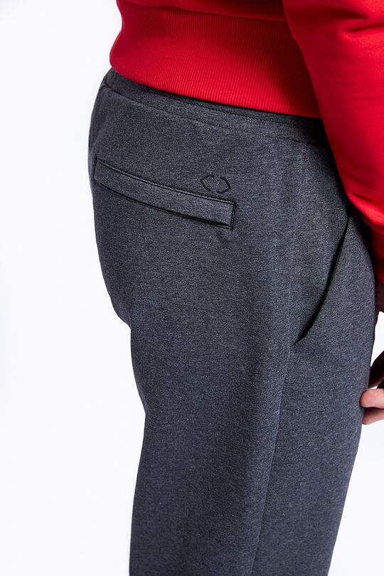 Stretch cotton regular fit sweatpants 5 | GREY/MELANGE | Audimas