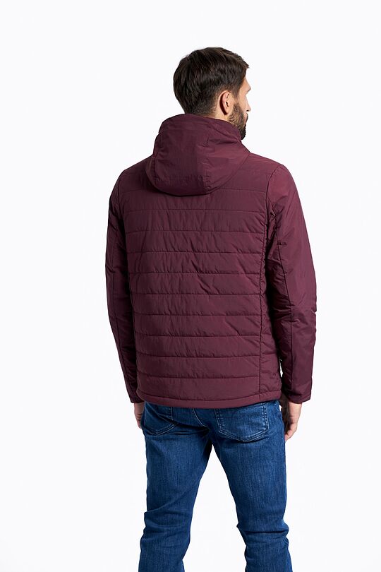 Jacket with THERMORE thermal insulation 5 | burgundy | Audimas