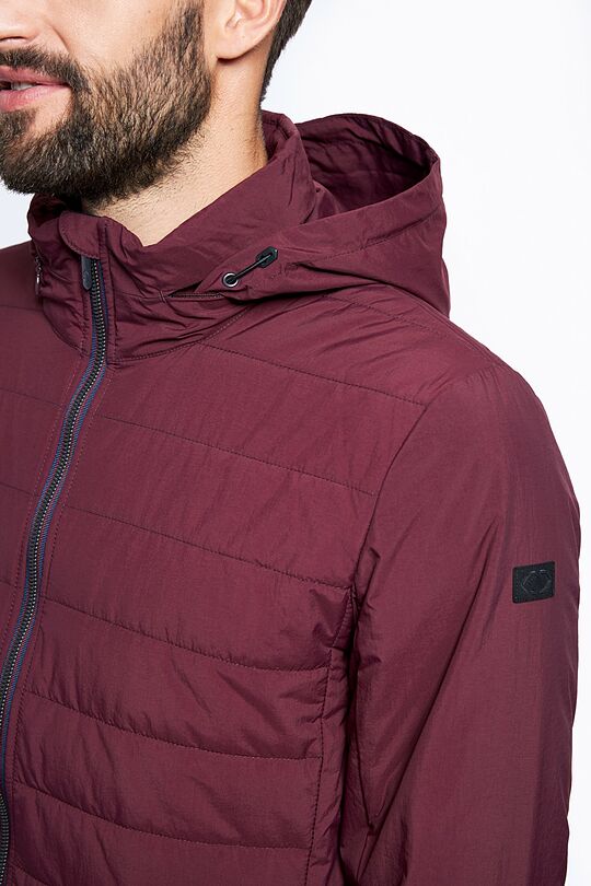 Jacket with THERMORE thermal insulation 6 | burgundy | Audimas