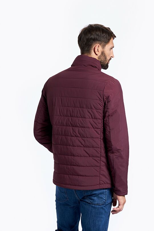 Jacket with THERMORE thermal insulation 2 | burgundy | Audimas