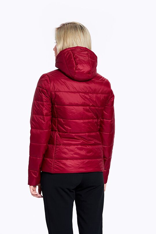 Jacket with THINSULATE thermal insulation 2 | RED/PINK | Audimas
