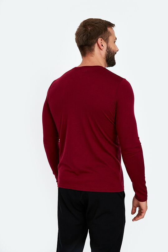 Fine merino wool long sleeve t-shirt 2 | burgundy | Audimas