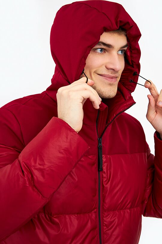 Puffer down jacket 6 | burgundy | Audimas