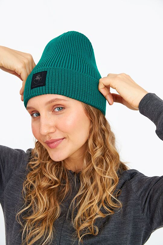 Knitted merino wool hat 1 | EVERGREEN | Audimas