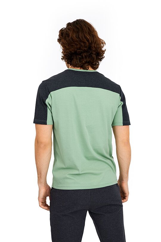 Relaxed fit cotton t-shirt 2 | GREEN/ KHAKI / LIME GREEN | Audimas