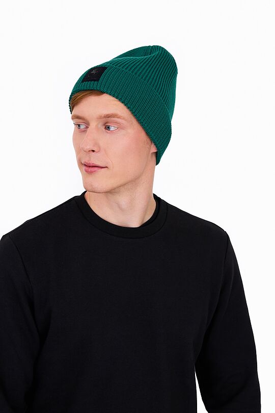 Knitted merino wool hat 2 | EVERGREEN | Audimas