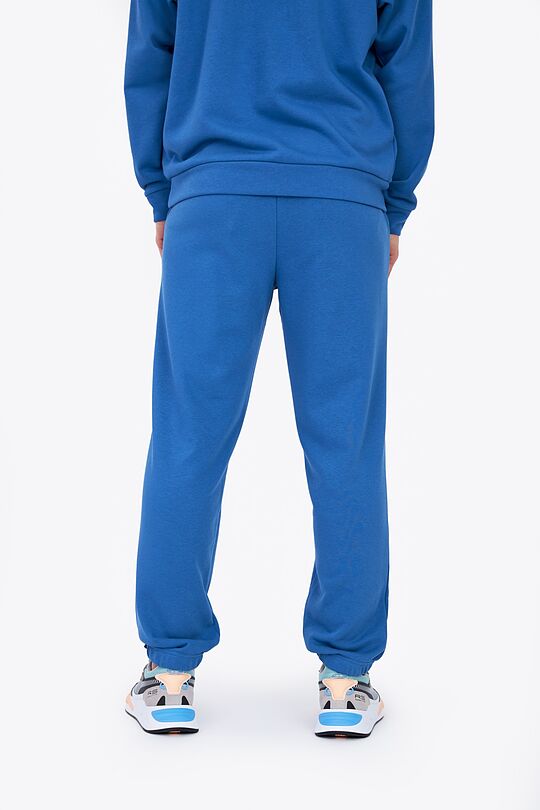 Oversized organic cotton sweatpants 3 | BLUE | Audimas