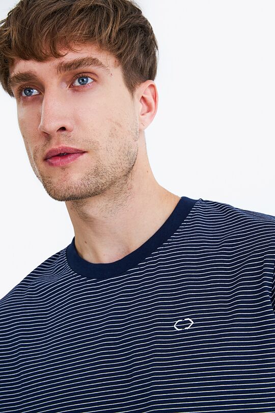 Striped t-shirt 2 | BLUE | Audimas