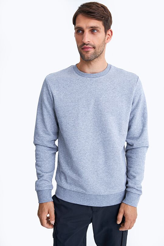 Organic cotton crewneck sweatshirt 1 | GREY/MELANGE | Audimas