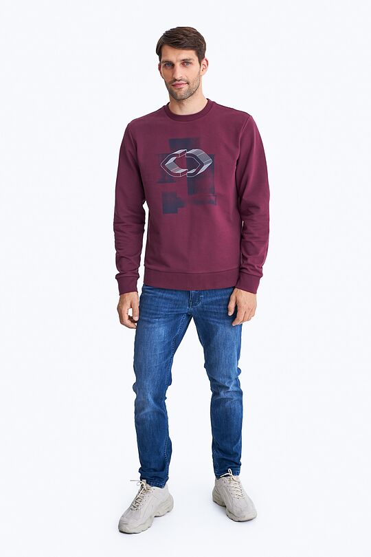 Printed cotton sweatshirt 1 | BORDO | Audimas