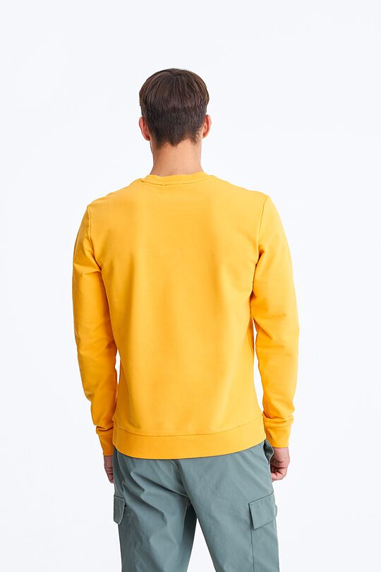 Printed cotton sweatshirt 3 | YELLOW/ORANGE | Audimas